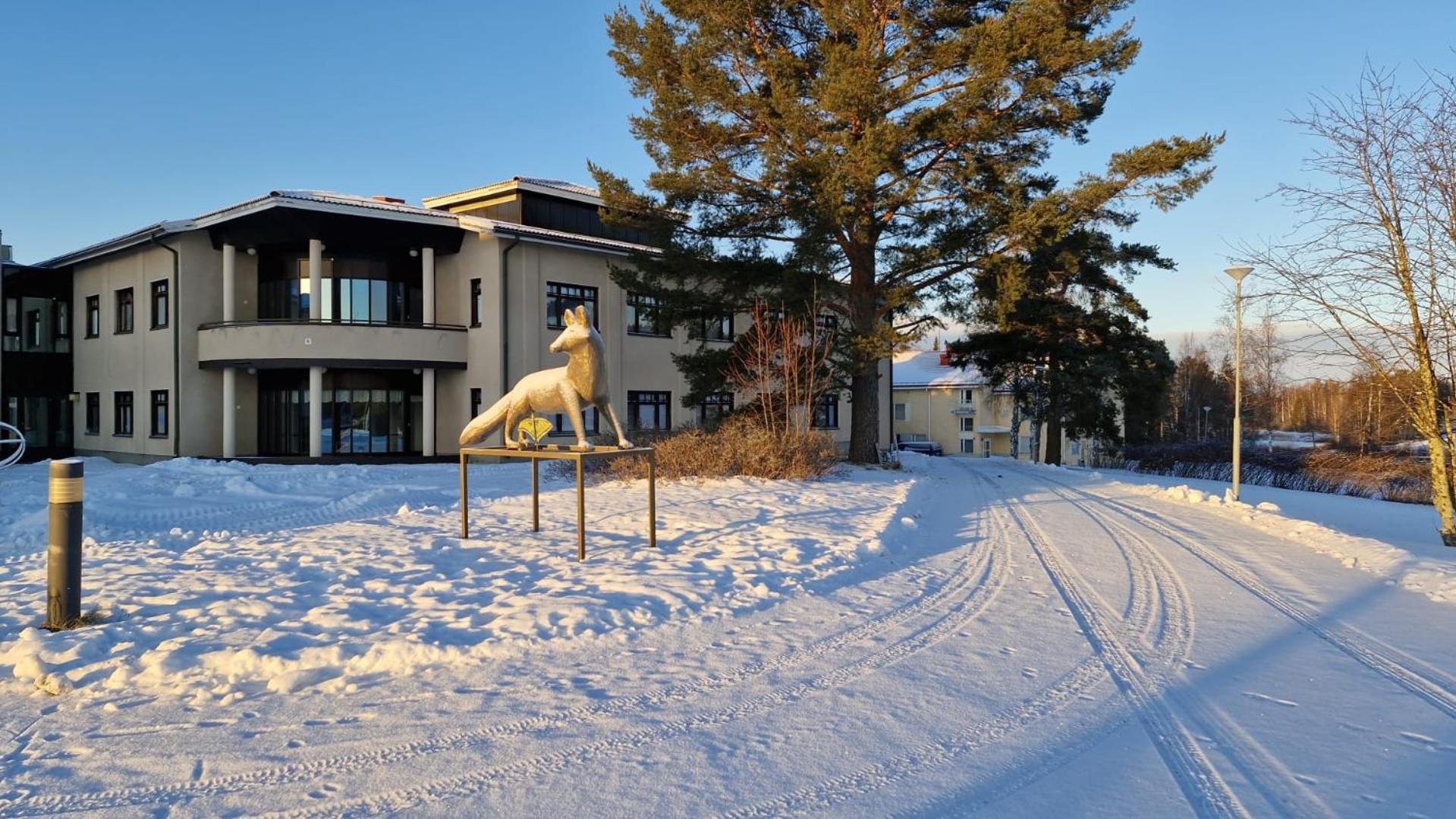 Ostello Majoitus Fox Kuopio Esterno foto