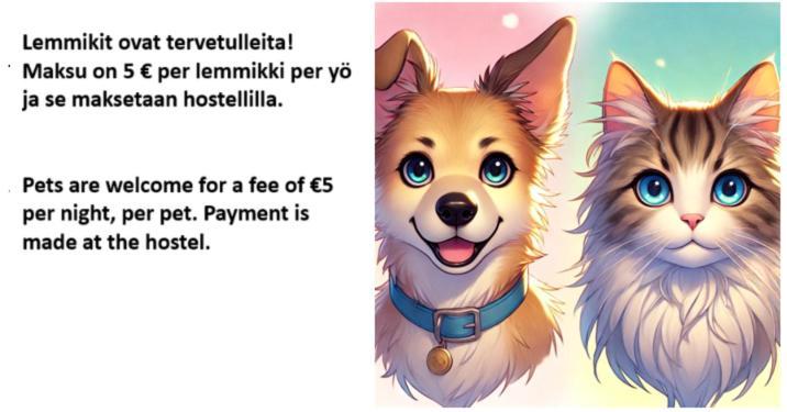Ostello Majoitus Fox Kuopio Esterno foto